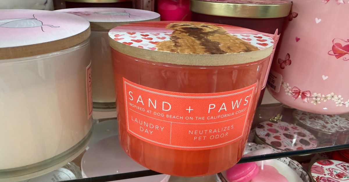 sand paws laundry day candle