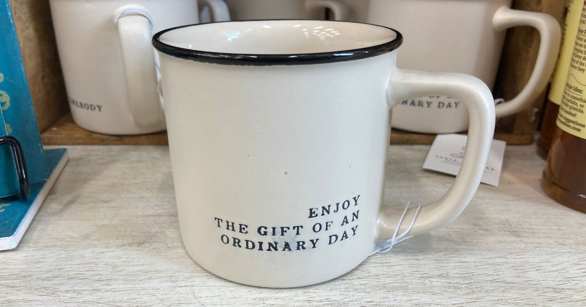 santa barbara design studio mug