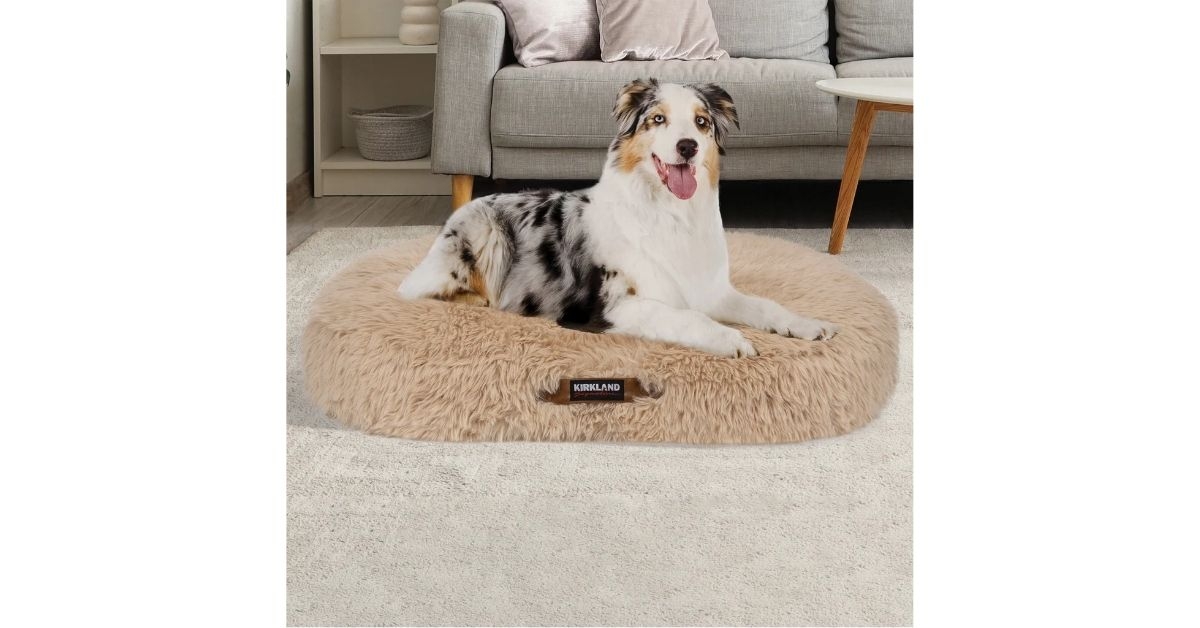 aero cloud pillow pet bed