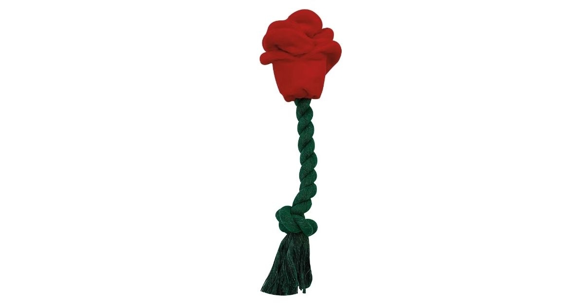 dog toy rose
