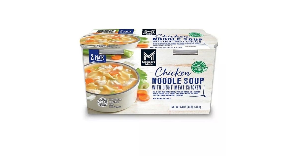 chicken noodle soup
