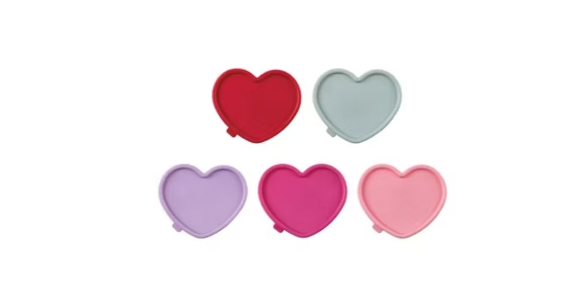 heart shaped snack containers