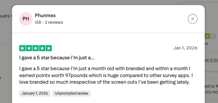 screenshot of user review