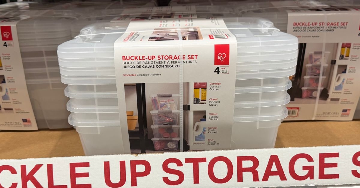 buckle up storage set