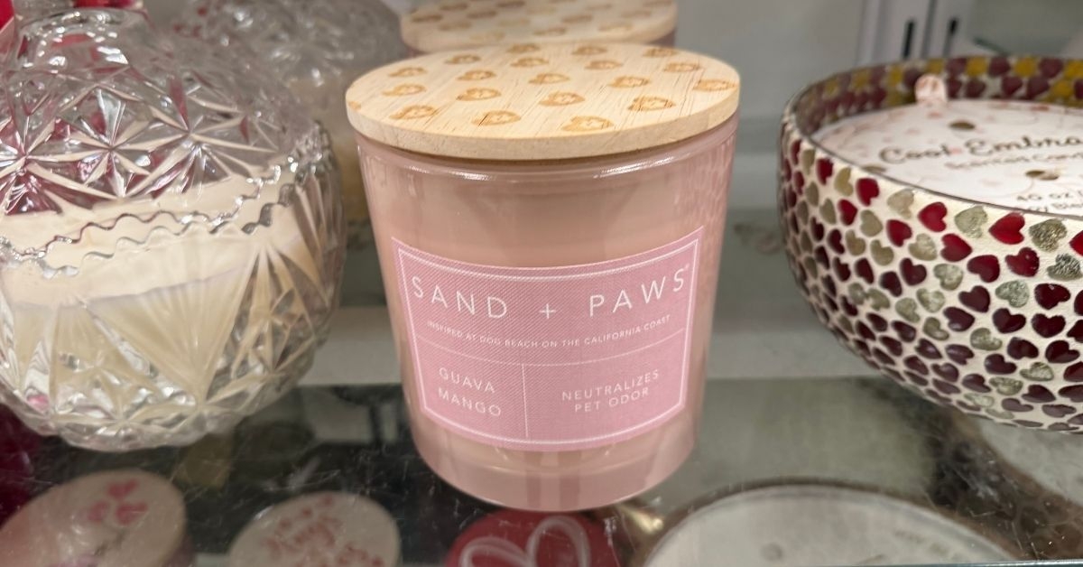 homegoods sand paws candle