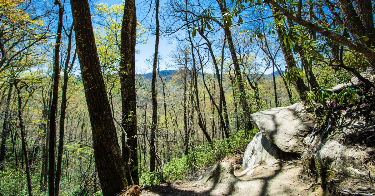 Looking Glass Rock, North Carolina