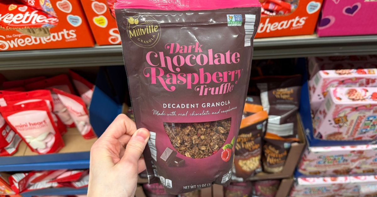 dark chocolate raspberry truffle