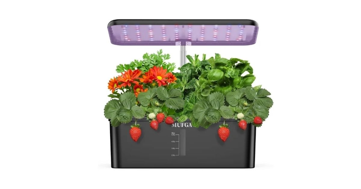 Herb garden system