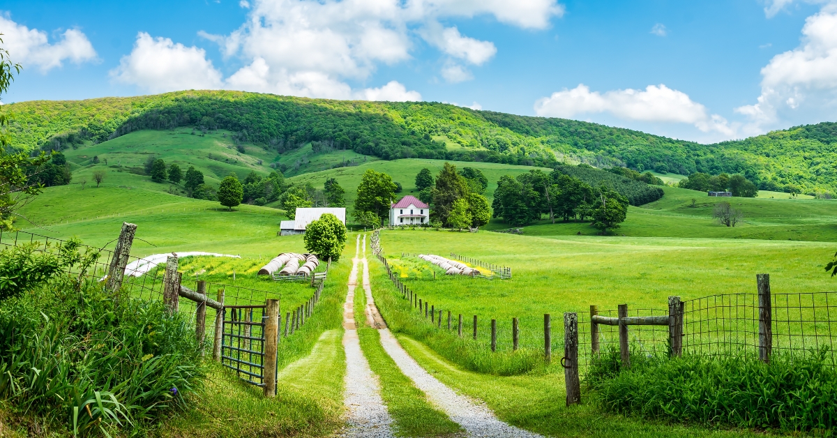 burkes garden in tazewell
