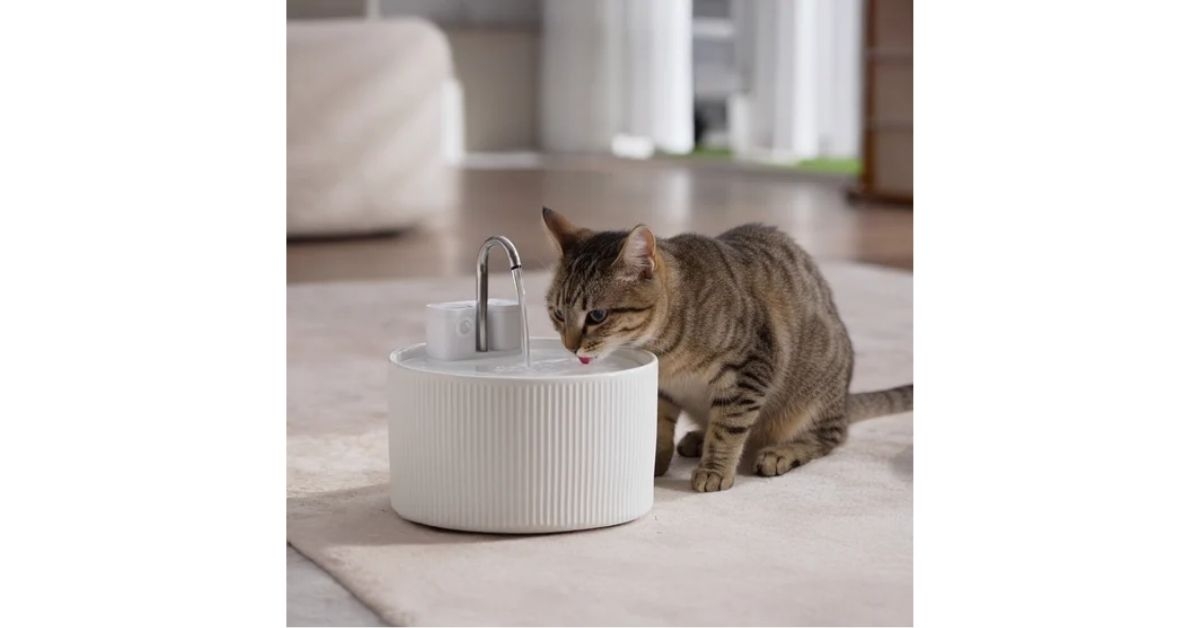 costco pawspik cordless ceramic faucet style pet water fountain
