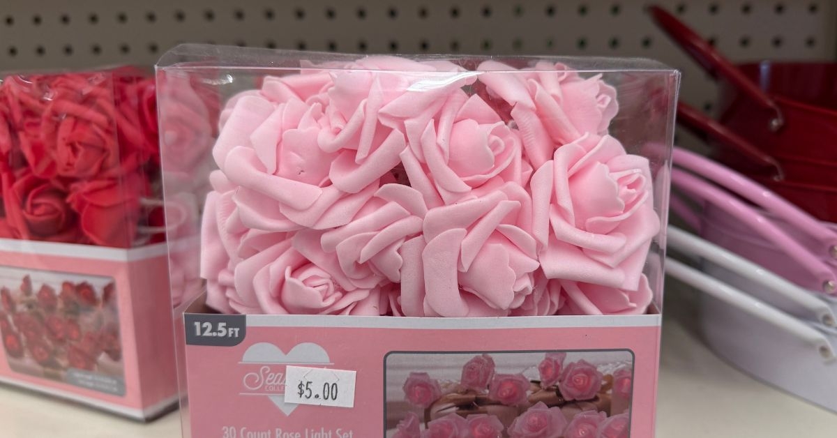 rose string light set