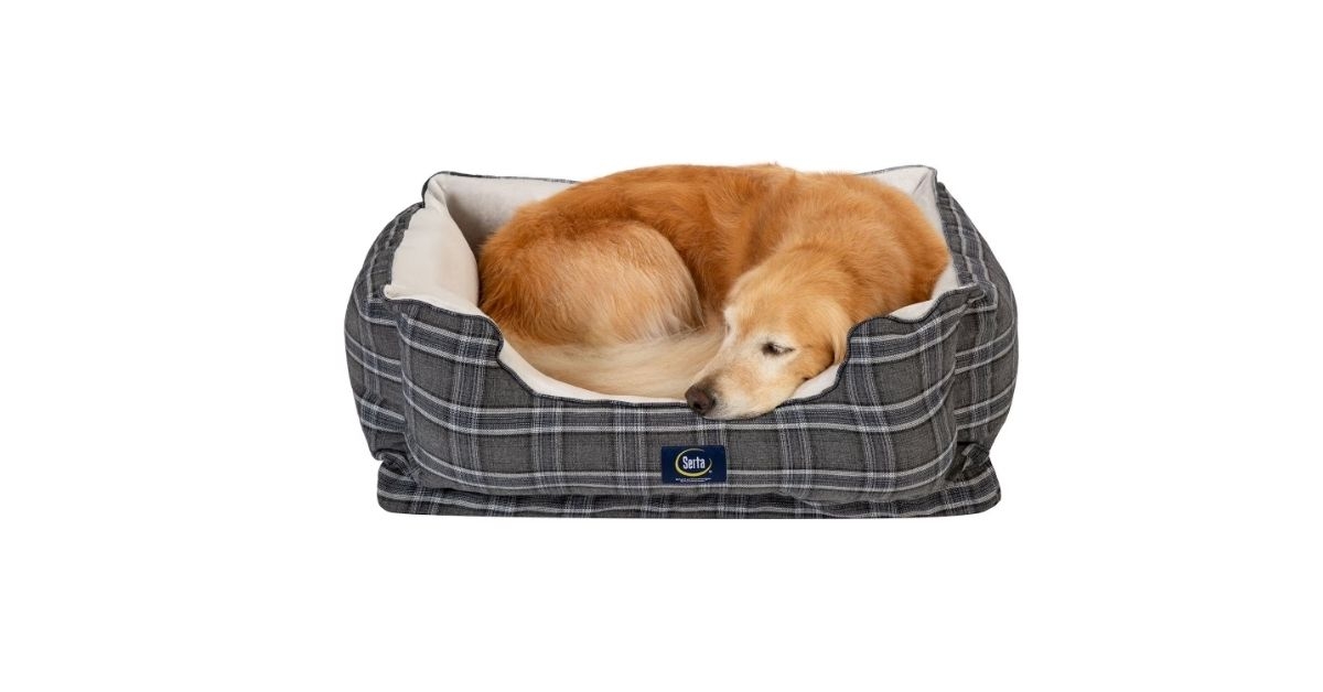 pet bed