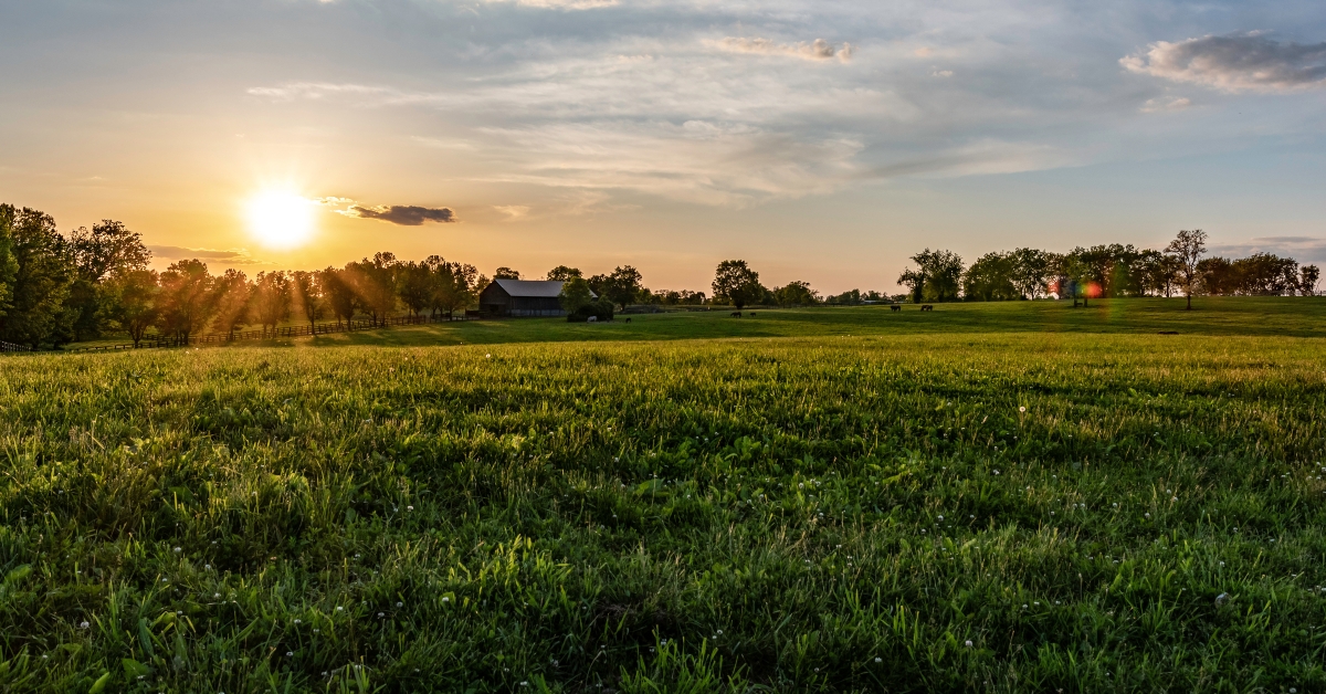 Kentucky horse farm landscape