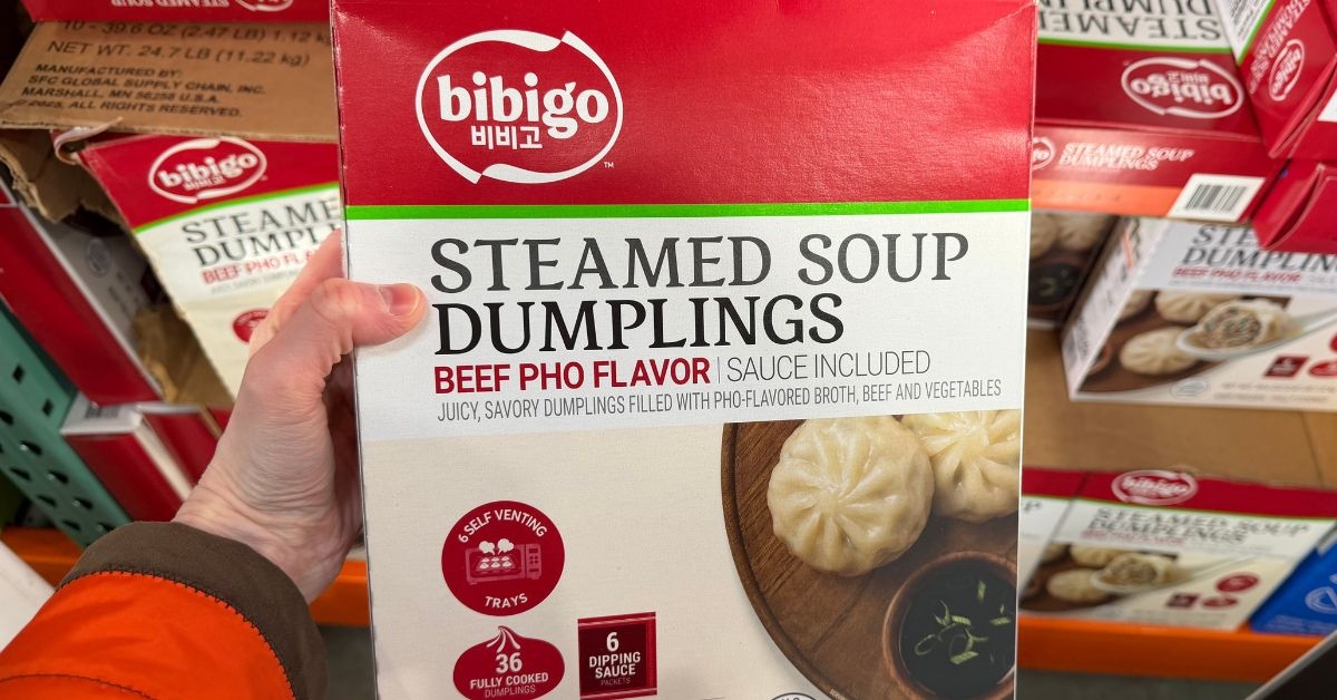 steamed beef pho soup dumplings