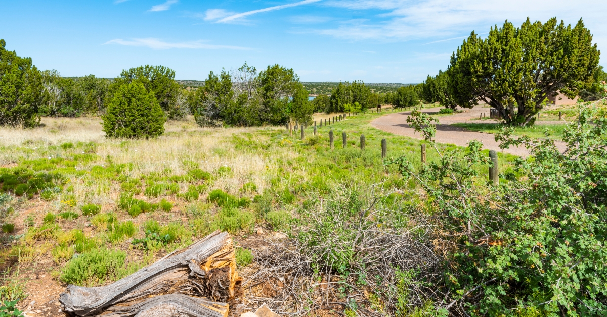 santa rosa lake state park
