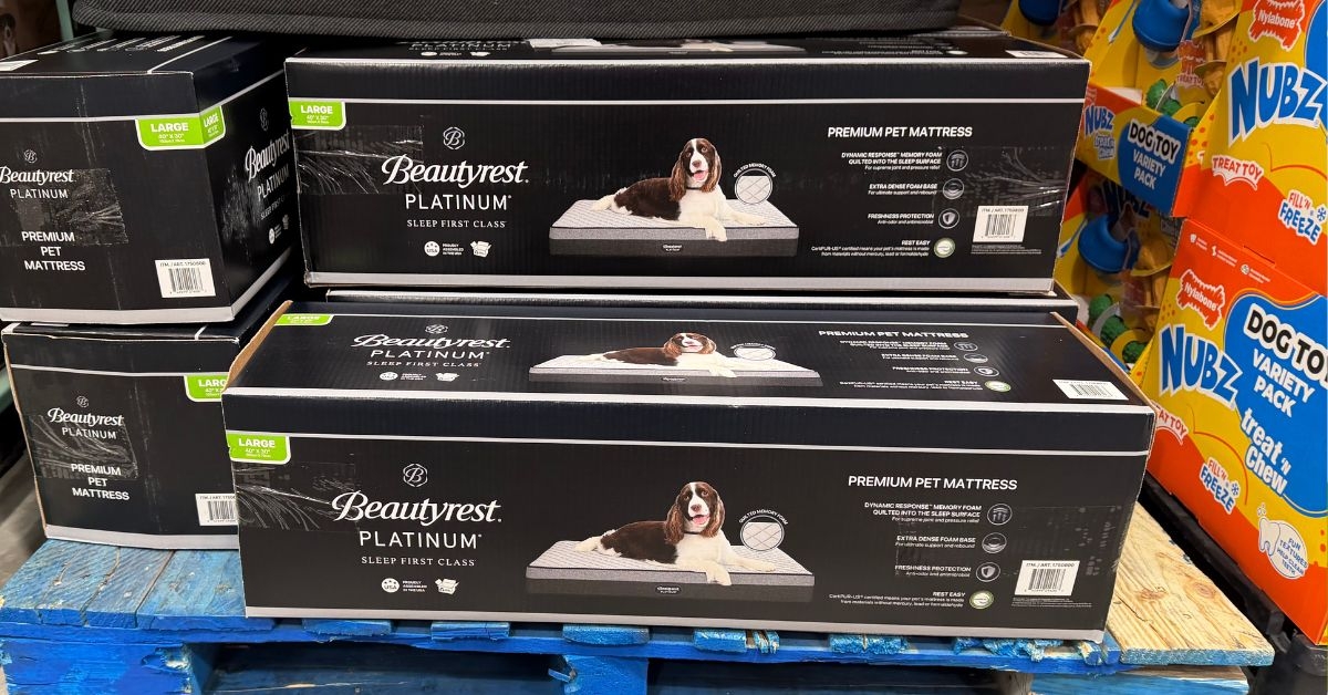 beautyrest platinum dog bed