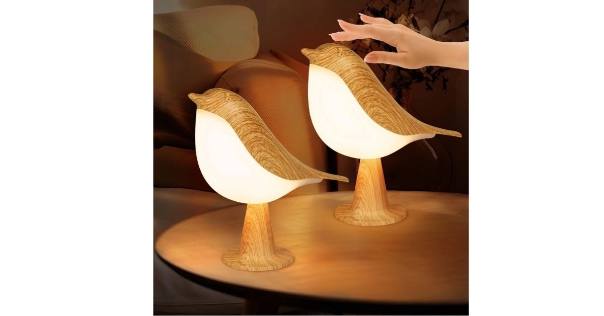 small bird night light