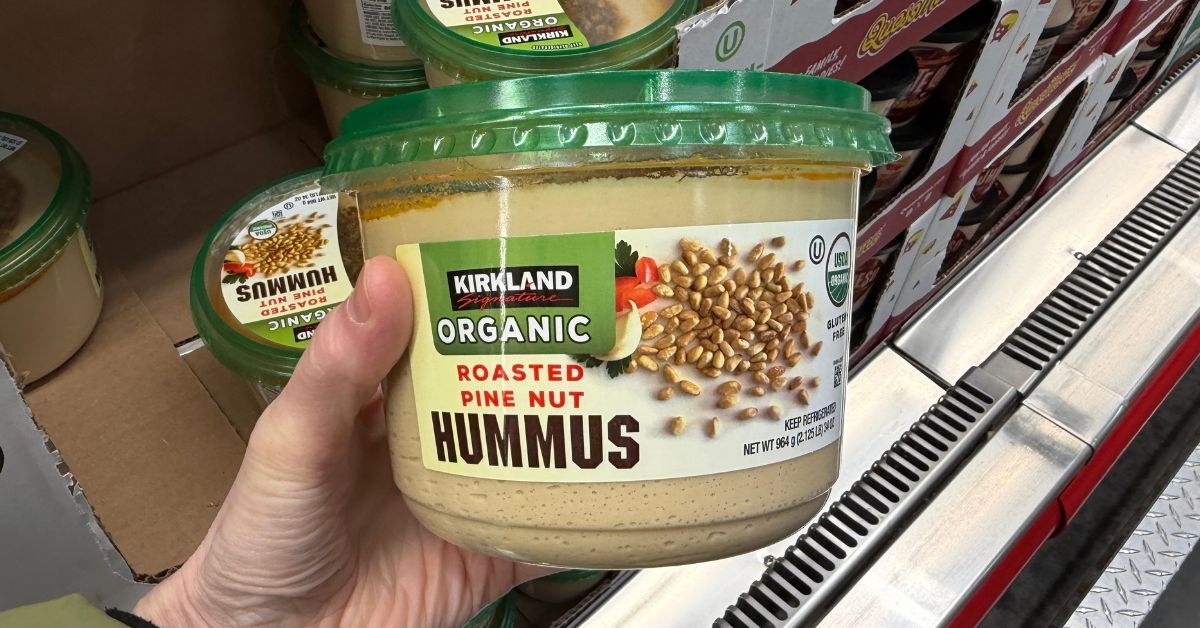 organic roasted pine nut hummus
