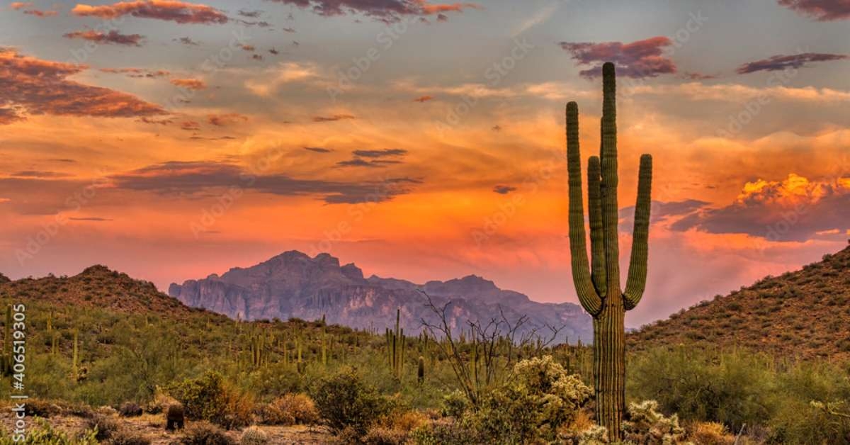 sonoran sunset 