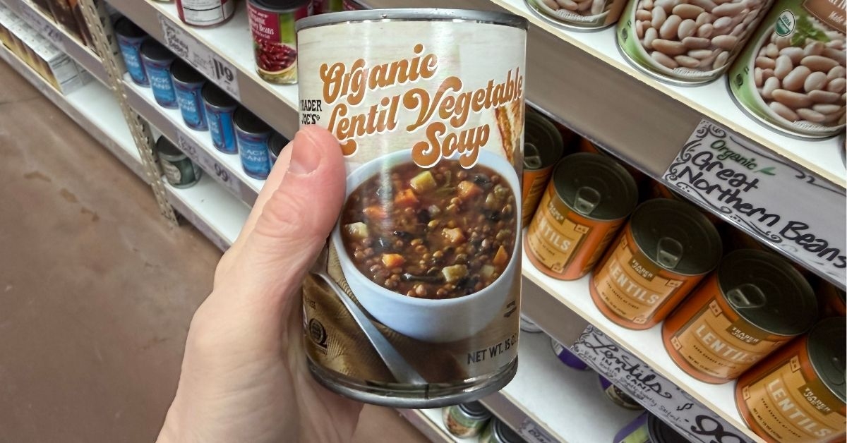 organic lentil vegetable soup