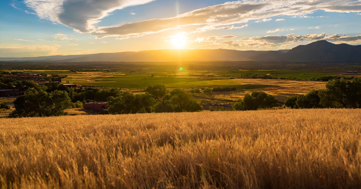 Beautiful sunset over a field in Santa Fe, New Mexico