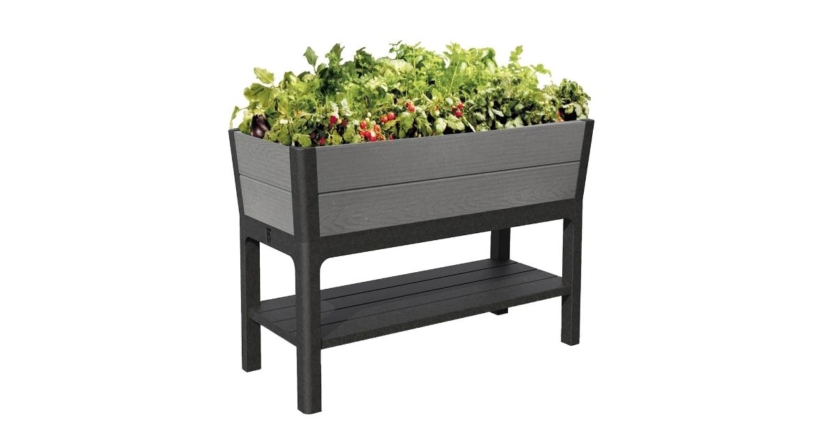 keter darwin raised garden bed