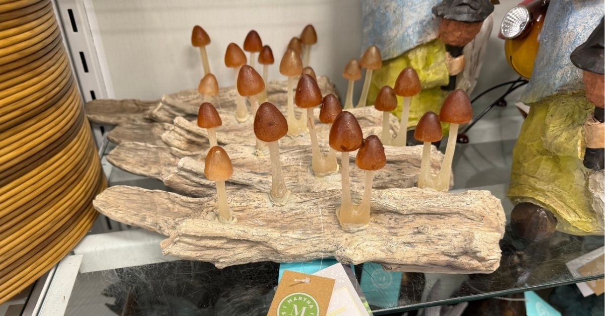 martha stewart solar led decor