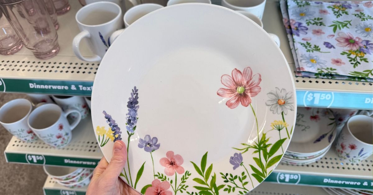 spring plates