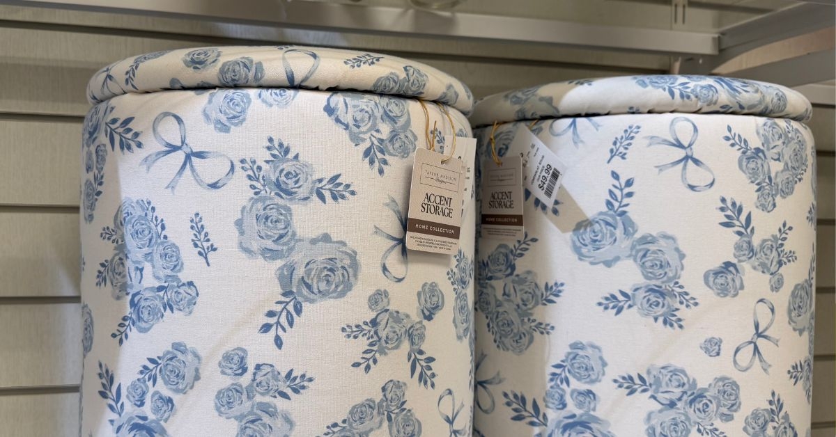 taylor madison designs accent storage