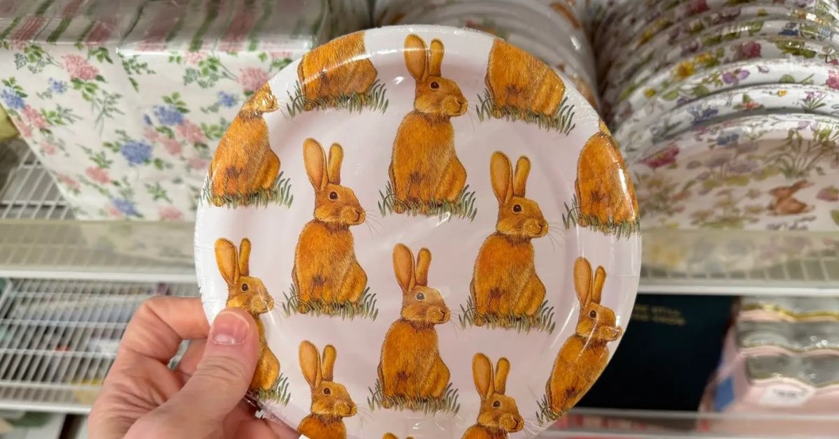 boston international paper plates