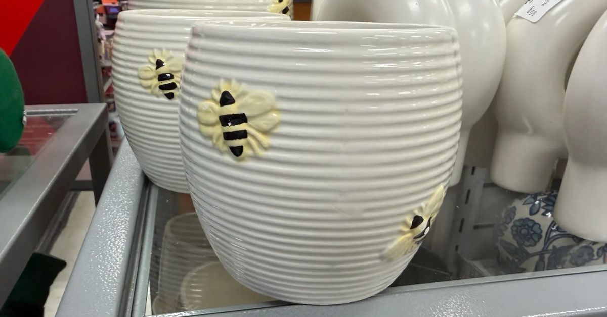 ceramic bee planter pot