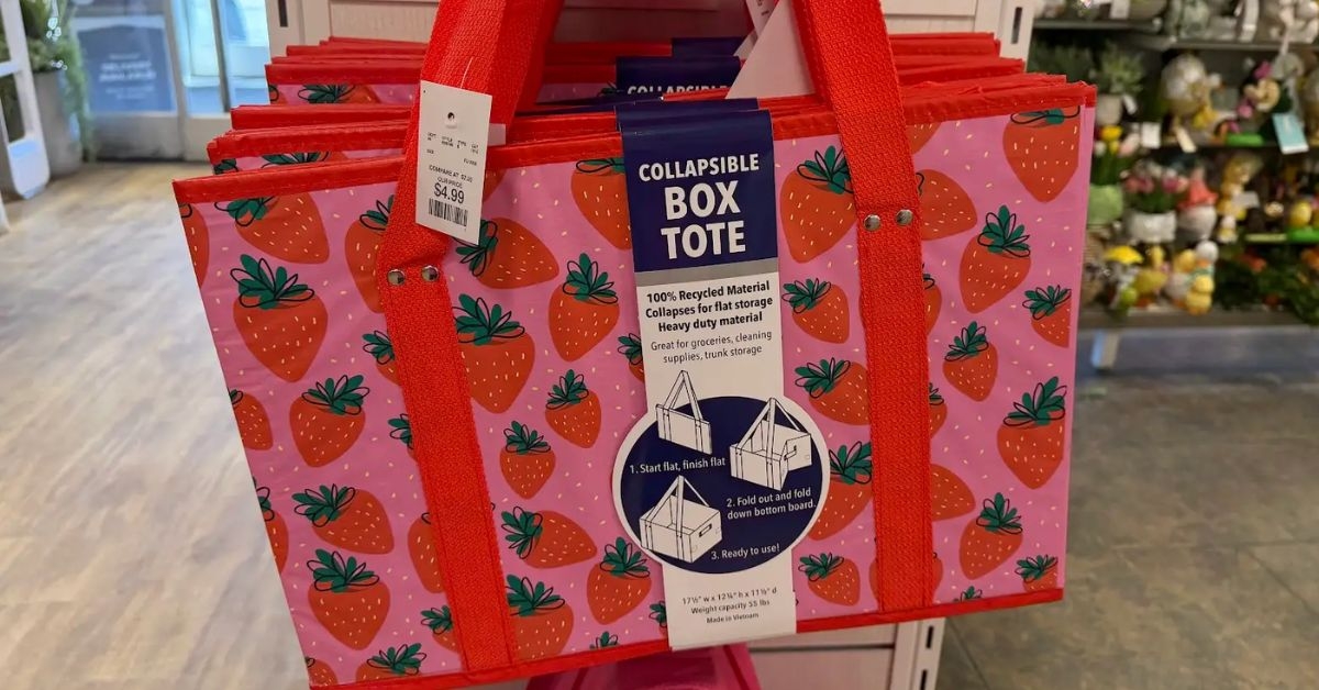 collapsible box tote