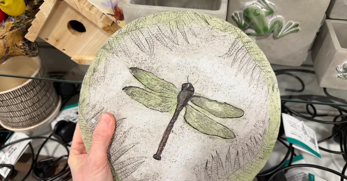 dragonfly stepping stone