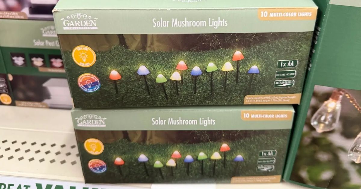 solar mushroom lights