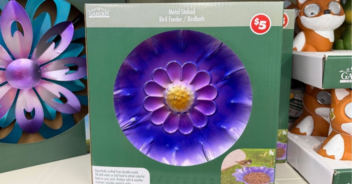 metal staked bird feeder birdbath