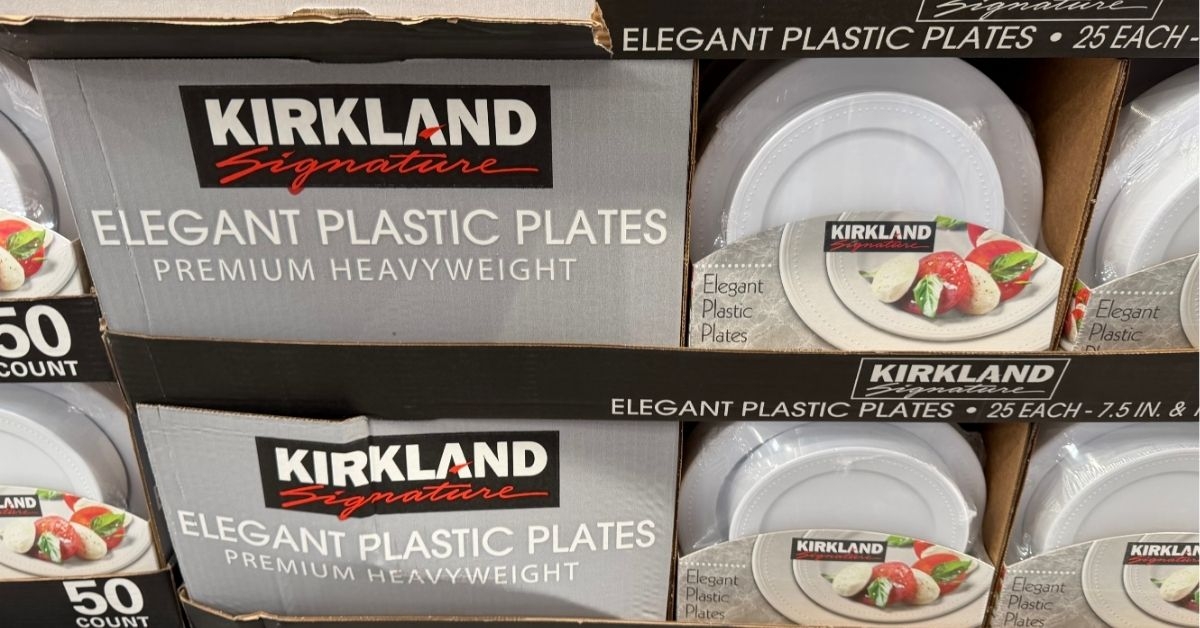elegant plastic plates