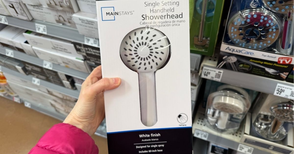 single setting handheld showerhead