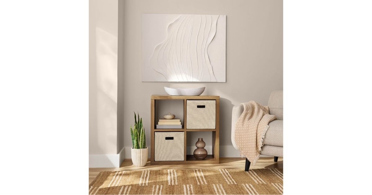 organizer with storage bins