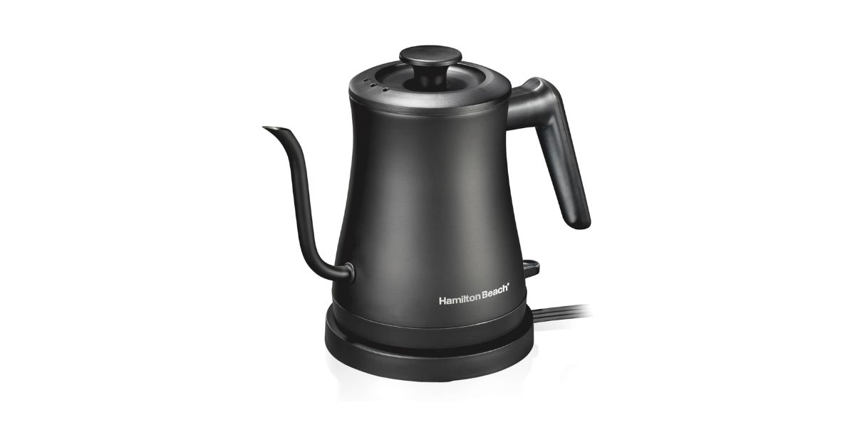 compact gooseneck electric kettle