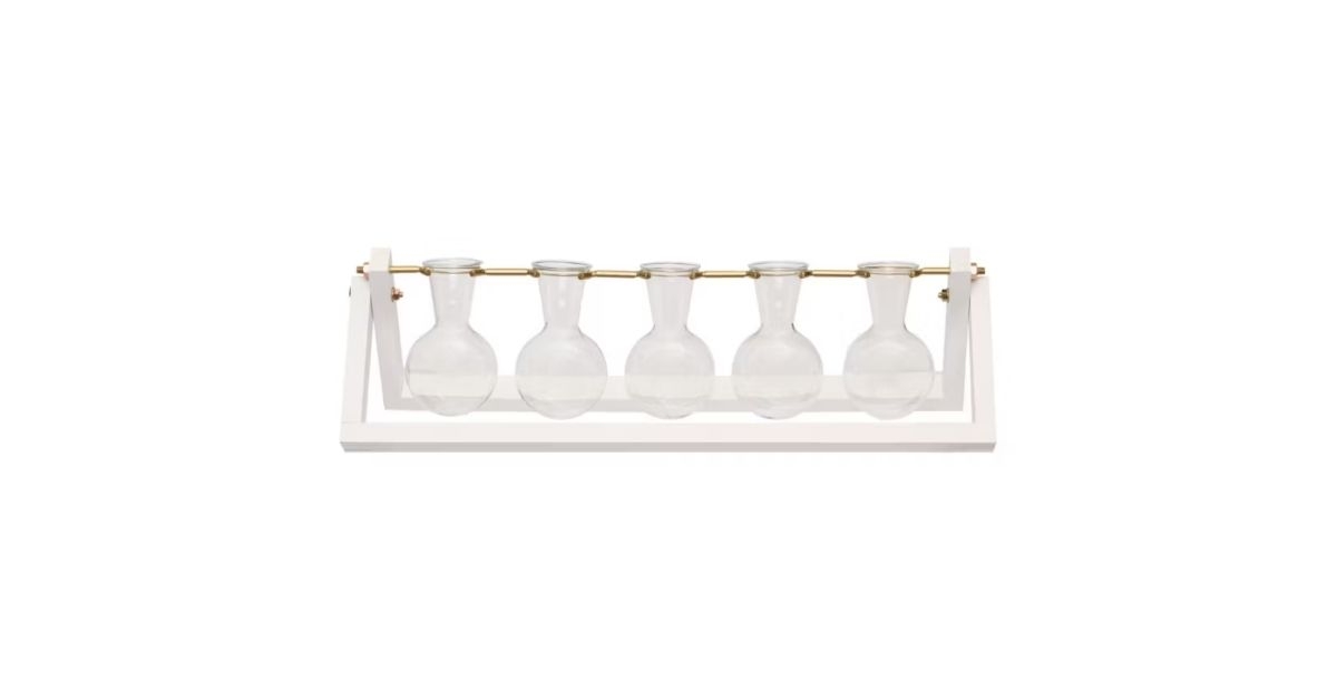 propagation glass vases