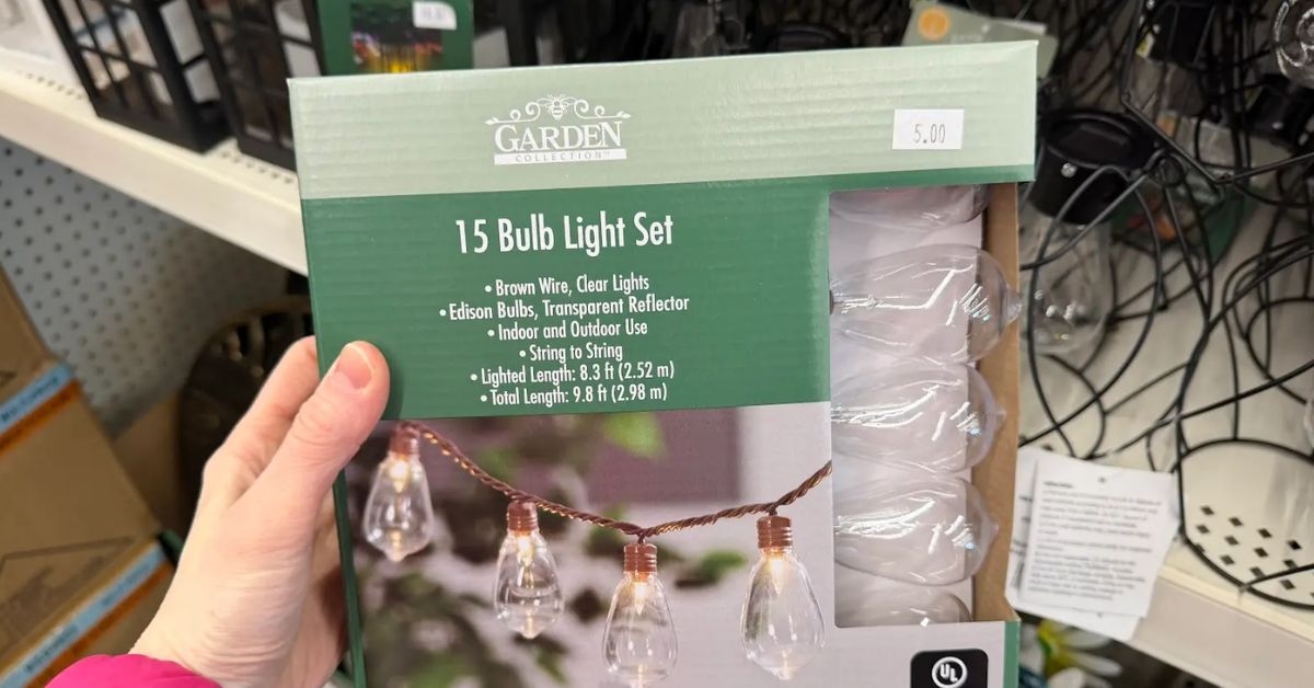 15 bulb light set