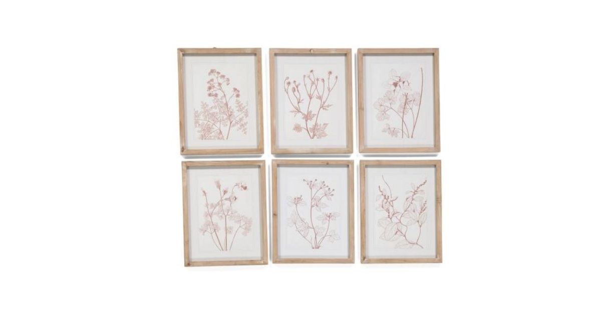 botanicals in blush prints