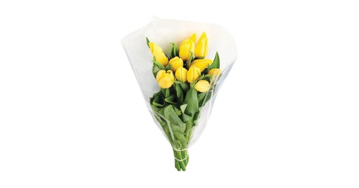 10 stems tulip bouquet