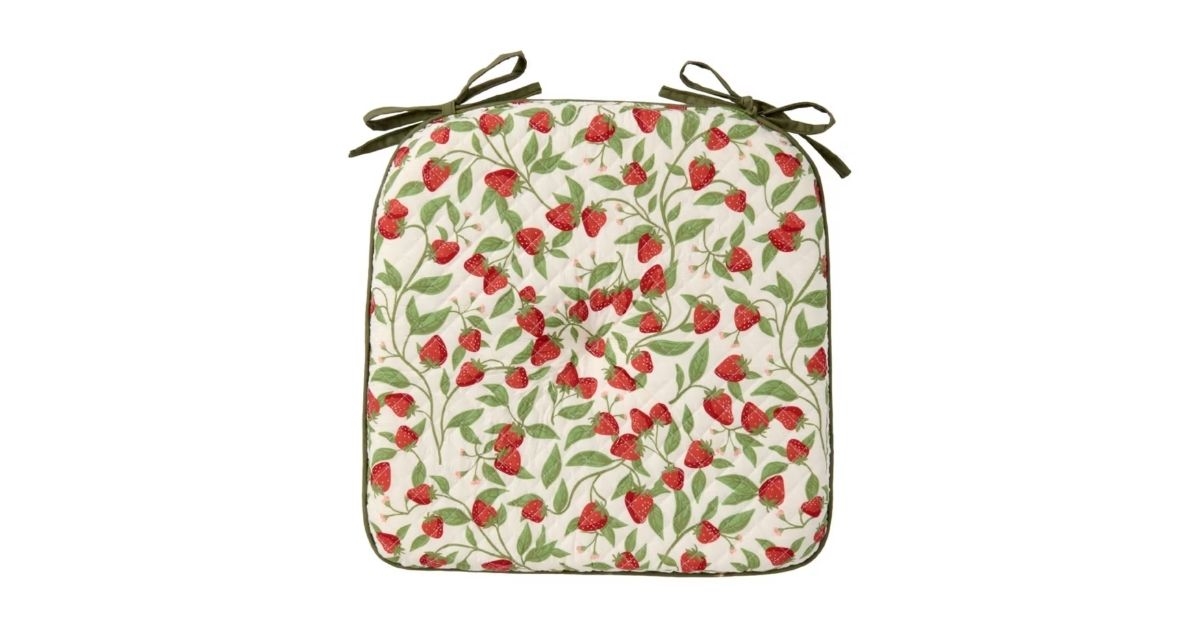 reversible chair pad