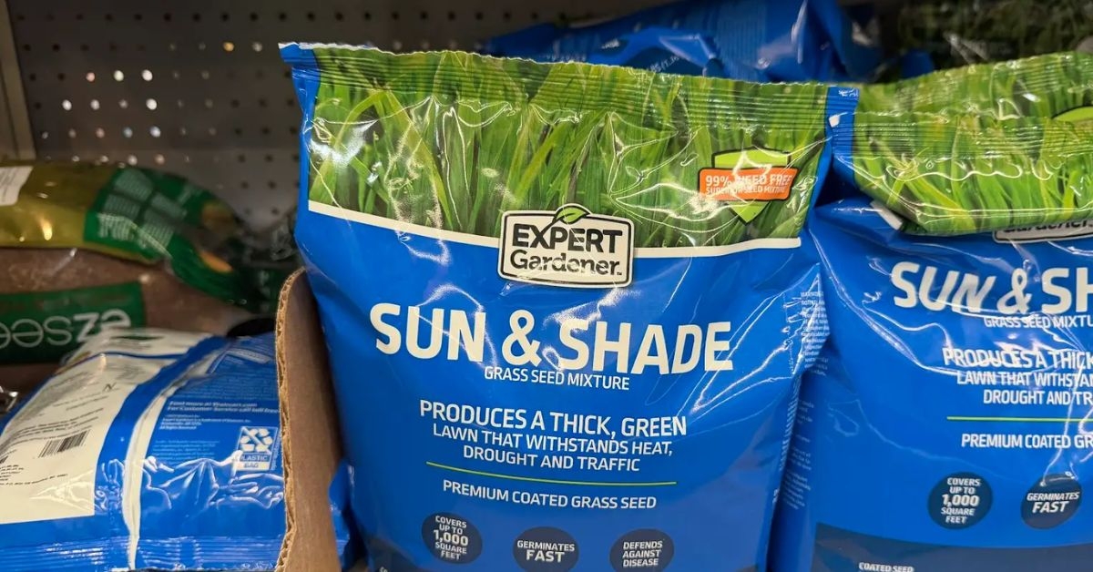 sun and shade grass seed