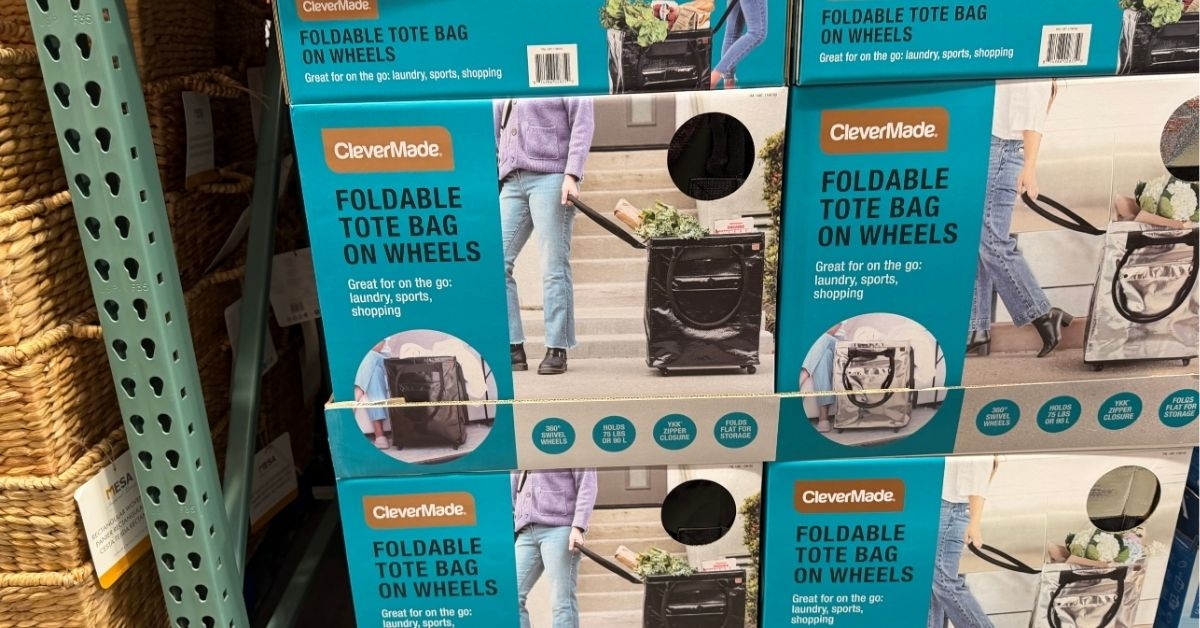 foldable tote on wheels
