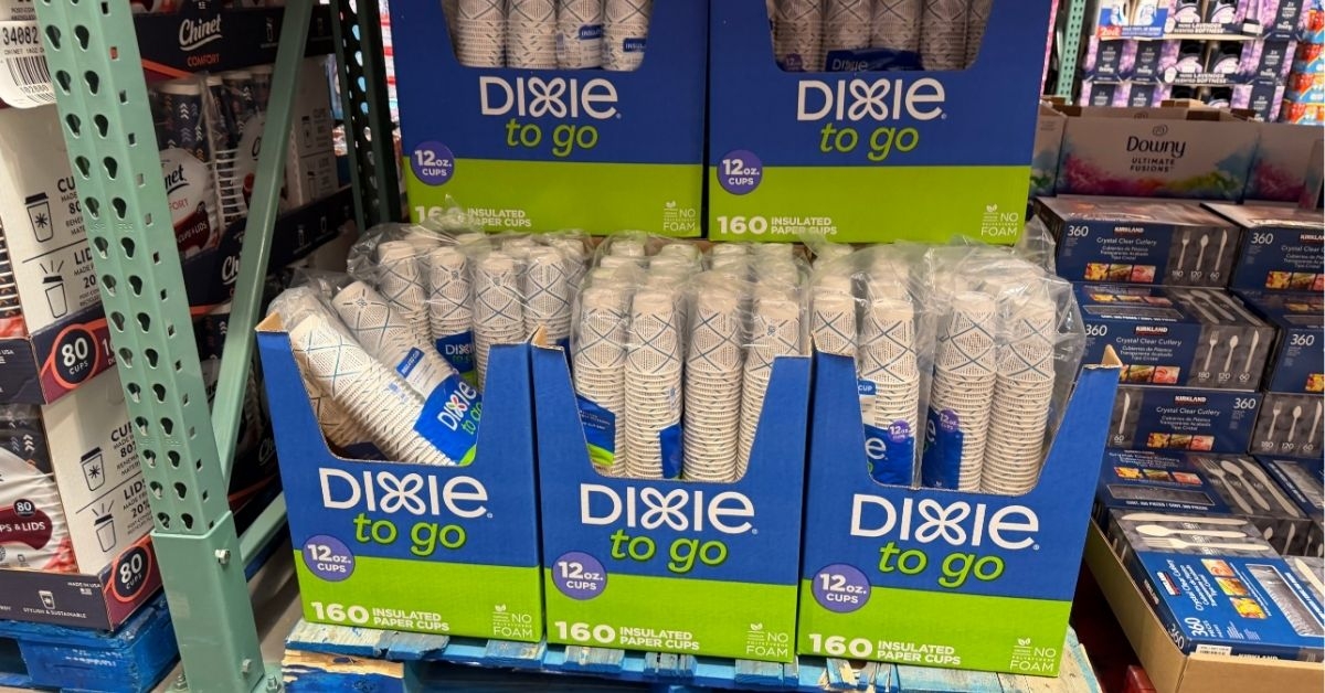 dixie to go cups