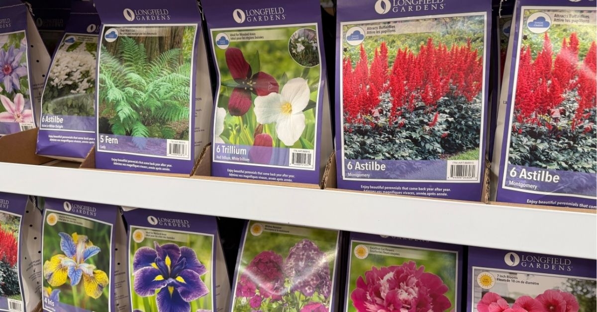 spring bulb assortment