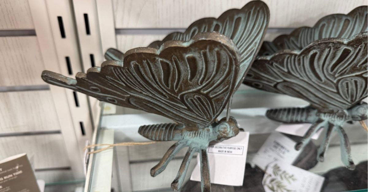 butterfly decor