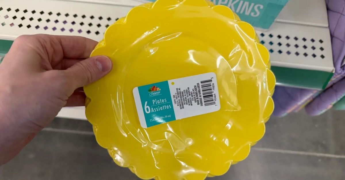 seasonal collection disposable plates